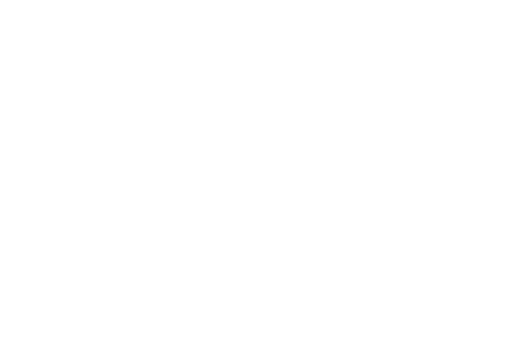 OFFICIAL SELECTION - Veneto International Film Festival - 2026 (1)